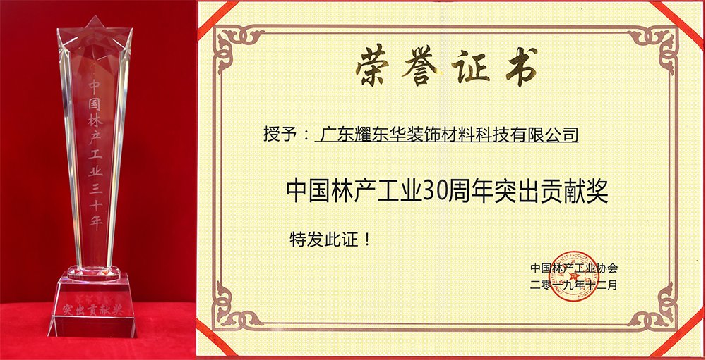 1576481030282716.jpg 突出贡献奖1.jpg